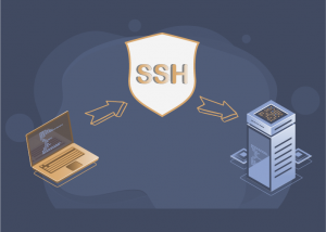 معرفی بهترین نرم افزار های اتصال از طریق SSH به سرور لینوکسی