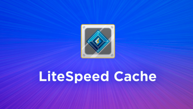 تصویر افزونه  LiteSpeed Cache چه کاربردی دارد؟