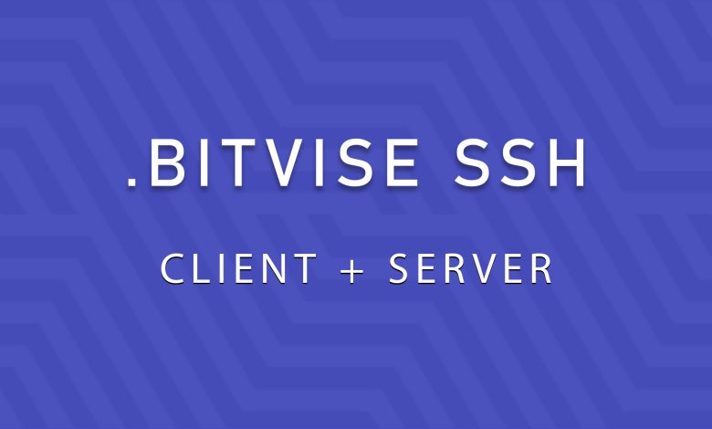 Bitvise SSH Server + Client 9.27 ارتباط سرور و کلاینت از طریق پروتکل SSH